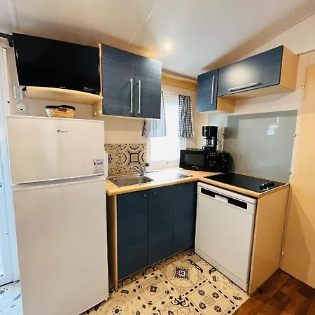 Campsite Camping Elysee - Mobile-home Le Jungle'home *