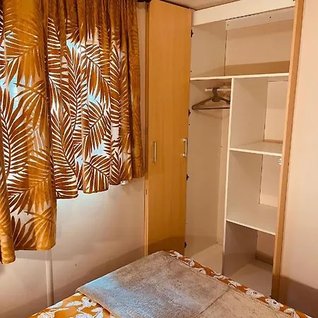 Camping Elysee - Mobile-home Le Jungle'home *