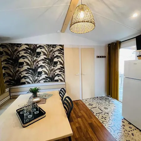 Kamp alanı Camping Elysee - Mobile-home Le Jungle'home *