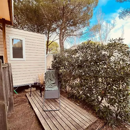 Camping Elysee - Mobile-home Le Jungle'home Kamp alanı